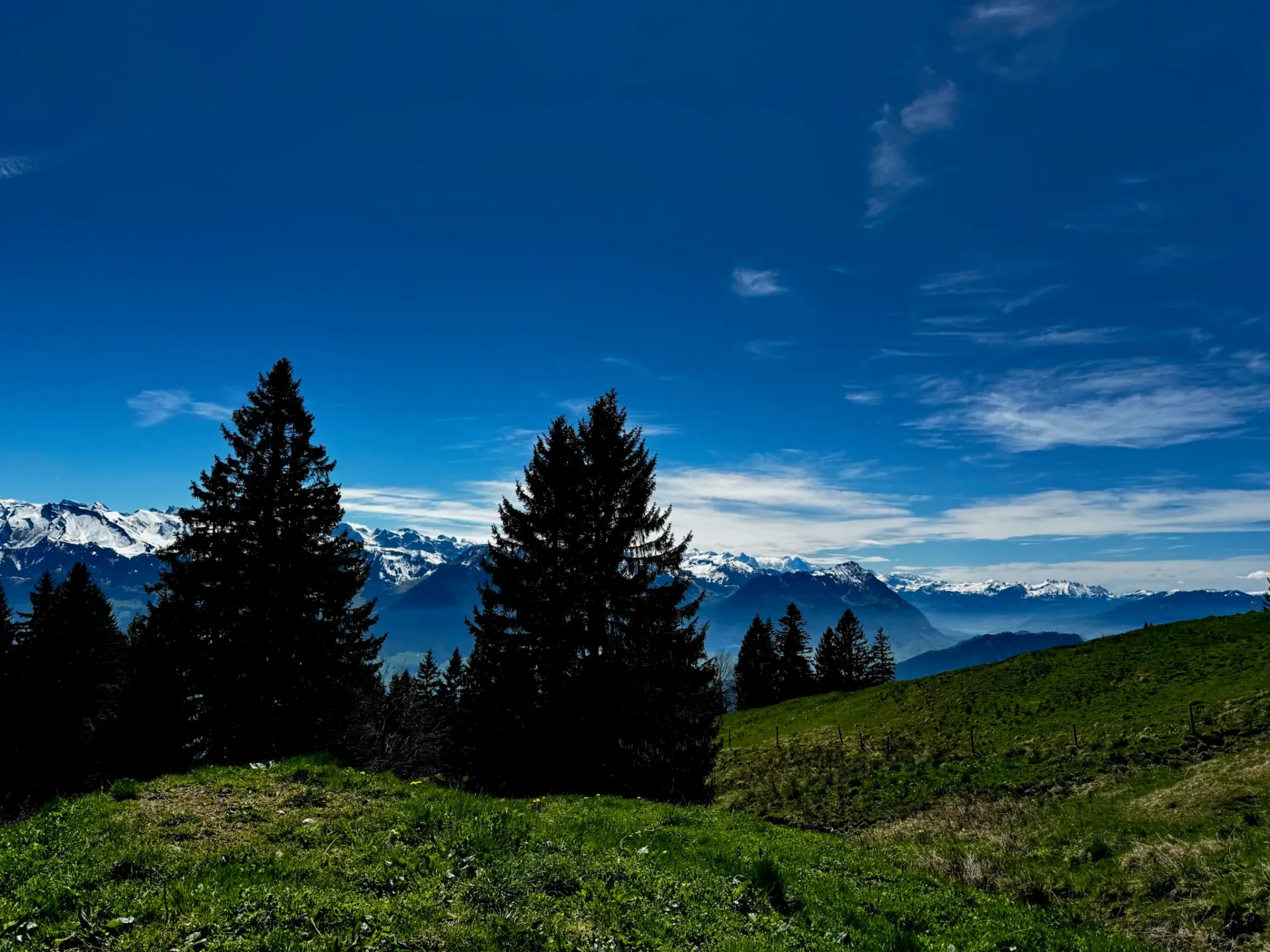 Runners at mountain base camp