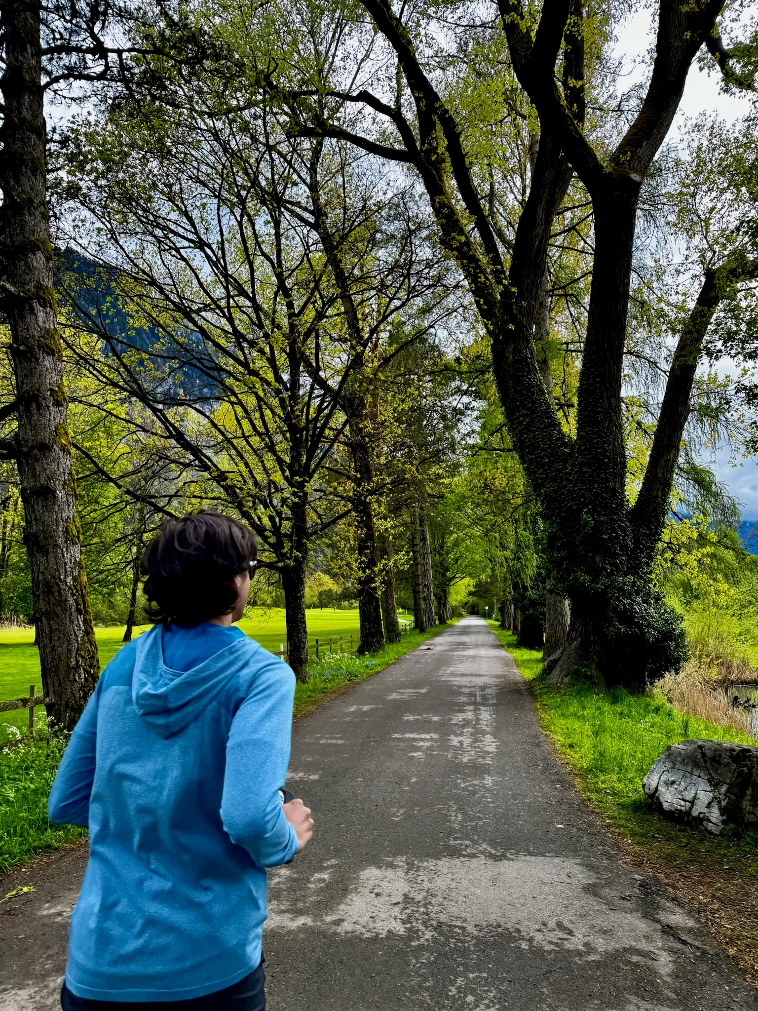 Alpine trail at golden hour with mountain views